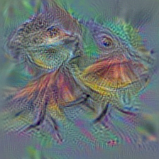 n01688243 frilled lizard, Chlamydosaurus kingi